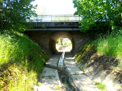 Zéissengerbaach - May 2012 (3)