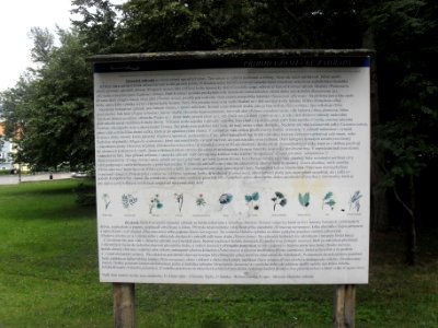 Zámecké jezero Teplice B