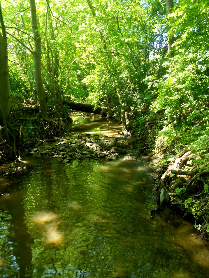 Zéissengerbaach - May 2012 (1)