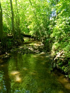 Zéissengerbaach - May 2012 (1)