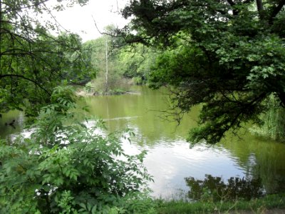 Zámecké jezero Teplice A