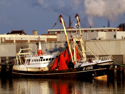 Z-198 Kees Korf at Ijmuiden, The Netherlands