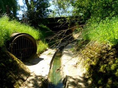 Zéissengerbaach - May 2012 (4)