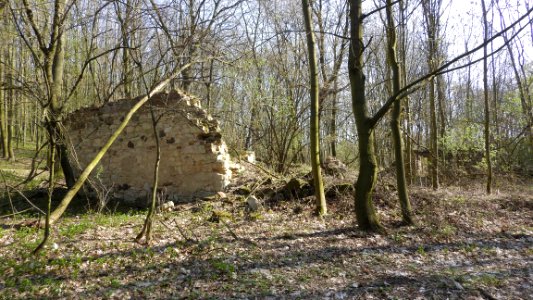 Zřícenina - bývalá hájovna Kozly (okres Louny) 2