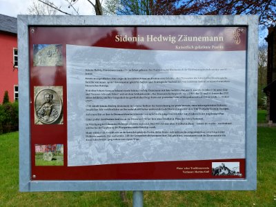 Zäunemann Plaue 2
