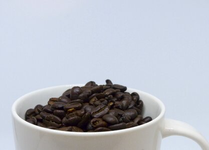 Caffeine dark bean photo