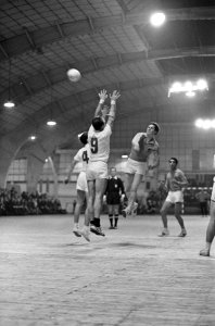 Zaalhandbal Nederland tegen Zwitserland 8-14, spelmoment, Bestanddeelnr 918-8323