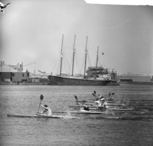 Zaan Regatta 1965 , de finale K1 Klasse 1000 meter, strijd na de start, Bestanddeelnr 917-8801