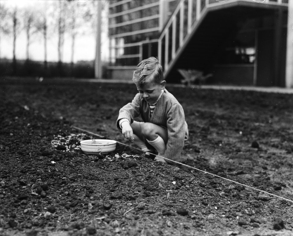 Zaaien in de tuin van jeugdland 58 te Rotterdam, Bestanddeelnr 909-5999