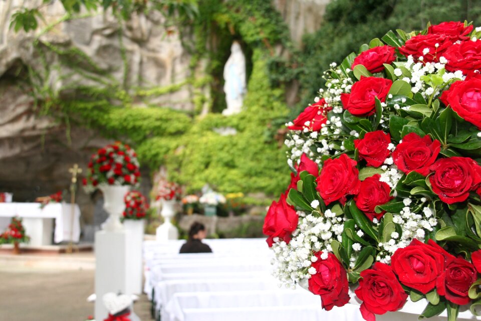 Weddding day rose red
