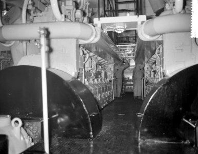 Zaandlandse proefvaart ms Aida III, Bestanddeelnr 913-3314