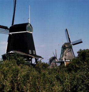 Zaanse Schans molens molens aan de Zaanse Schans, Bestanddeelnr 254-9714
