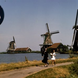 Zaanse Schans molens molens aan de Zaanse Schans, Bestanddeelnr 254-9713