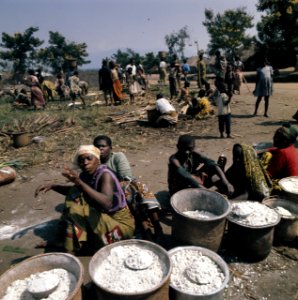 Zaire (voorheen Belgisch Congo ) markt op het platte land, Bestanddeelnr 254-9369