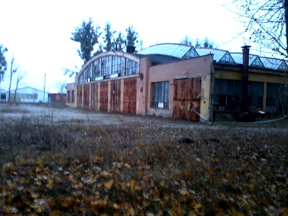 Zakład Transportu Zakładów Mięsnych 02