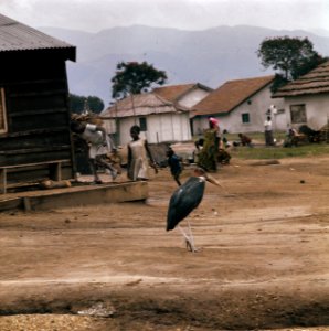 Zaire (voorheen Belgisch Congo ) kamp voor Angolese vluchtelingen in Zaire, Bestanddeelnr 254-9421