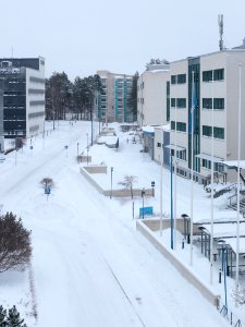 Yrttipellontie Oulu 20210124