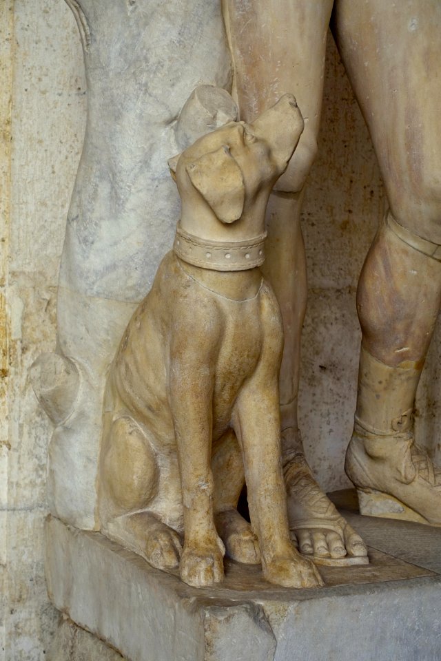 Youth with dog, known as Endymion, S 36, Roman, 1st century AD, marble, detail, after a Greek work from the late 4th century BC - Musei Capitolini - Rome, Italy - DSC06136