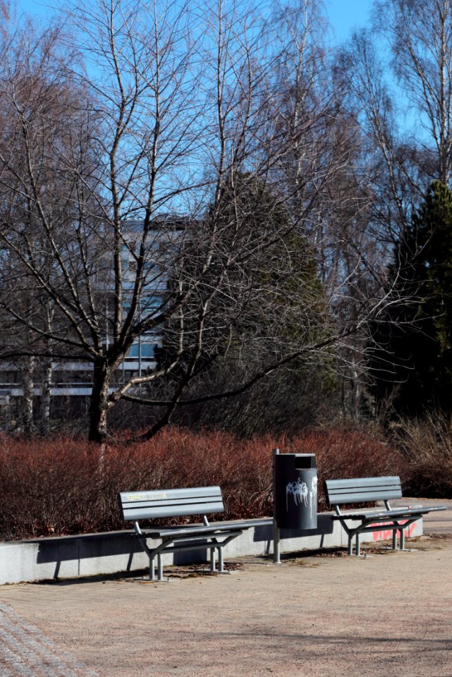 Yrjö Kallisen puisto Oulu 20210417 03