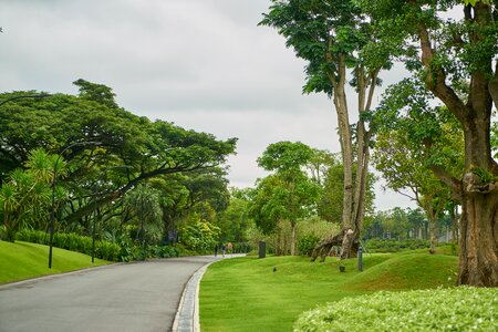 Nature go park