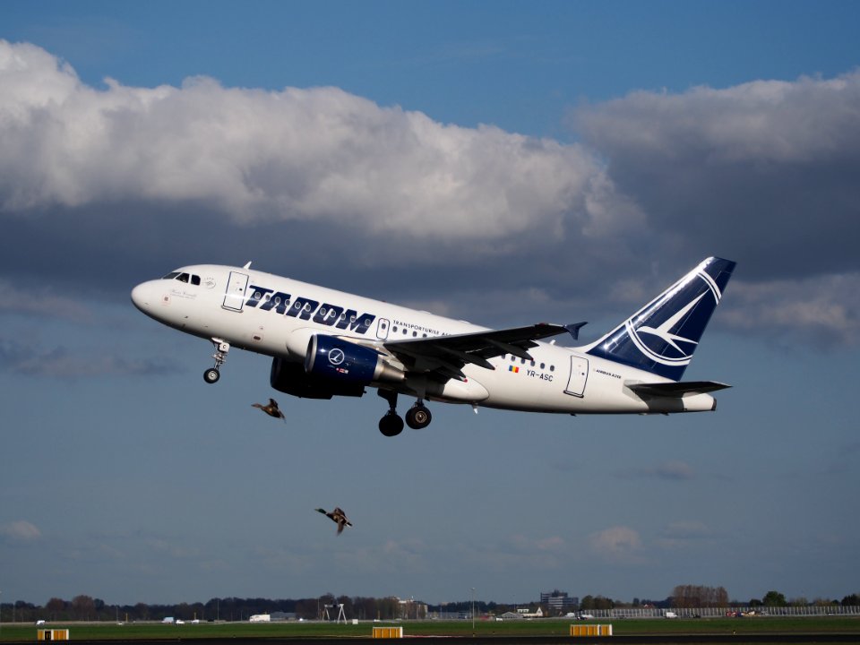 YR-ASC TAROM Airbus A318-111 takeoff from Polderbaan (no bird strike), Schiphol (AMS - EHAM) at sunset, pic2