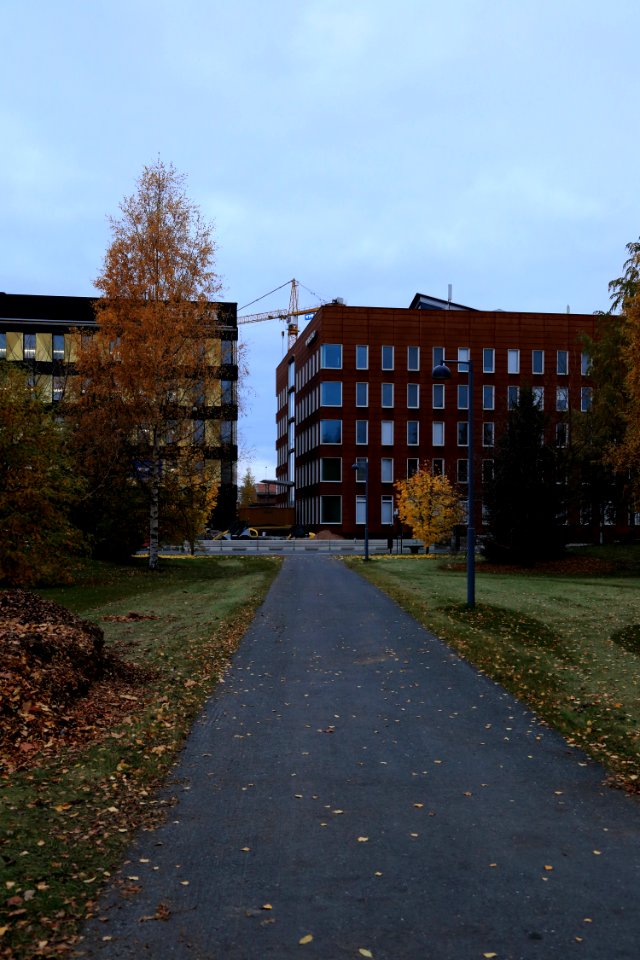 Yrjö Kallisen puisto Oulu 20171014 03