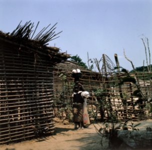 Zaire (voorheen Belgisch Congo ) kamp voor Angolese vluchtelingen in Zaire, Bestanddeelnr 254-9419