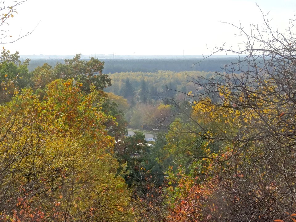 Zamczysko grodzisko 10-18 3