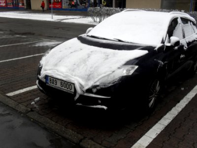 Zamecka zahrada 10 unora 2014 S