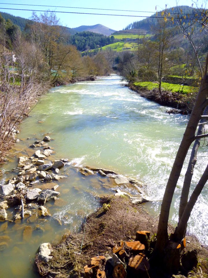 Zalla (La Herrera), río Cadagua 4