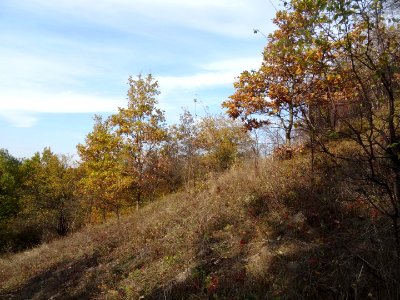 Zamczysko grodzisko 10-18 2