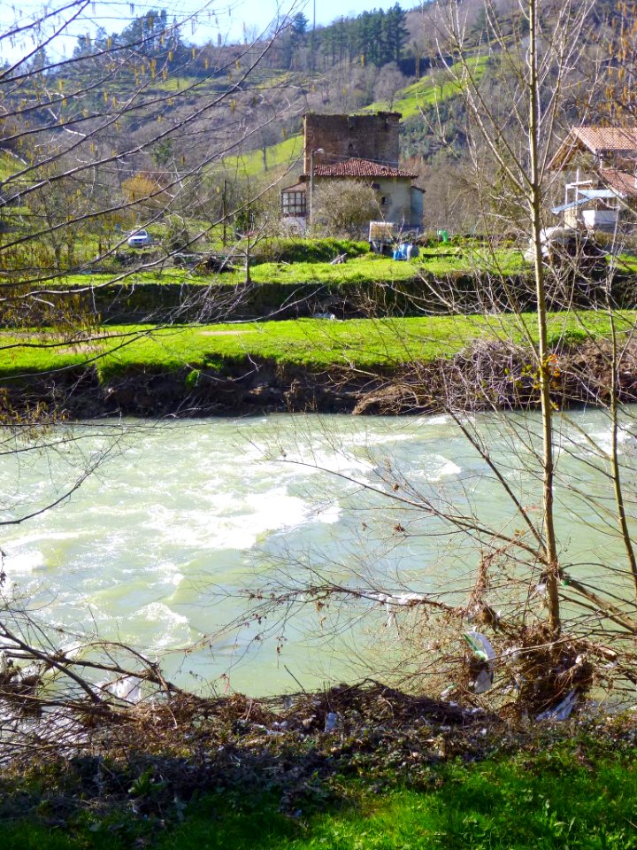 Zalla (La Herrera), río Cadagua 2