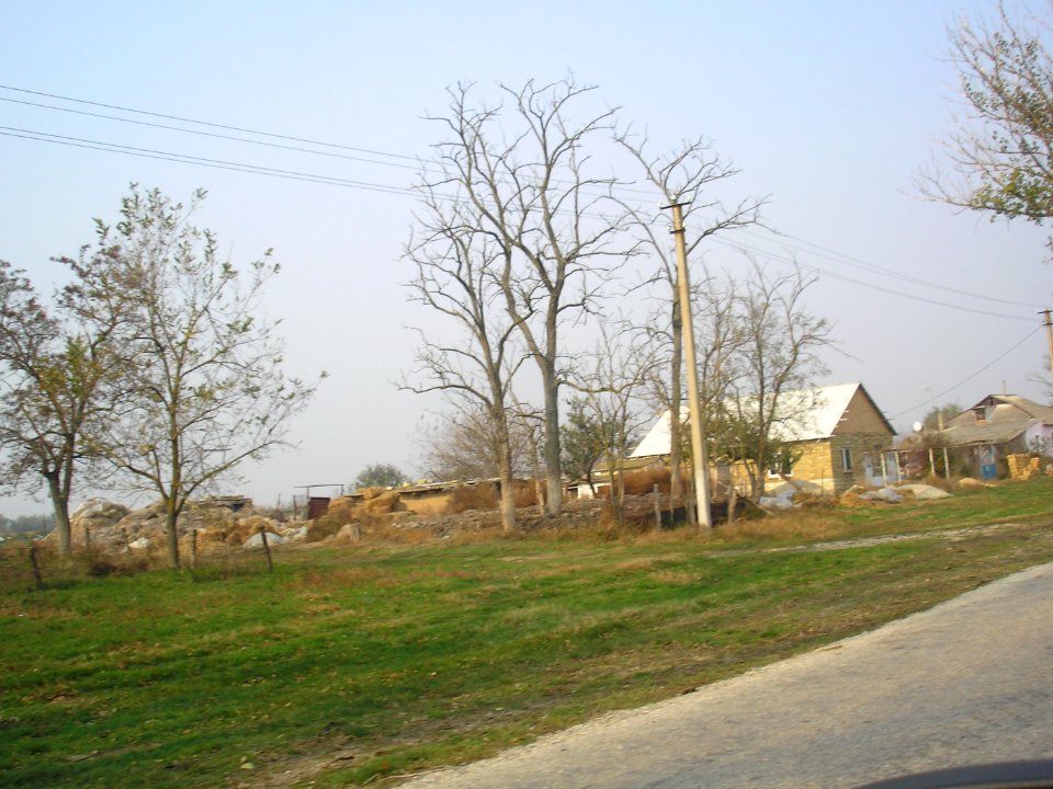 ZalivnoeNizn 11