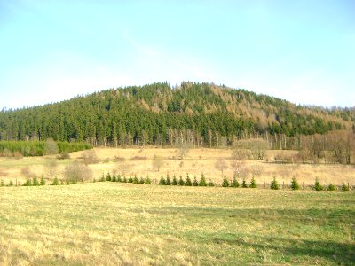 Zadzierna mit