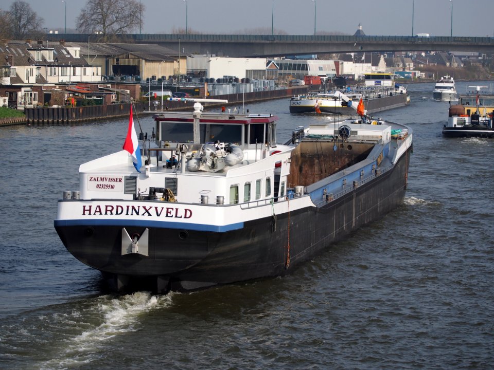 Zalmvisser - ENI 02325510, Amsterdam-Rijnkanaal, pic3