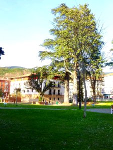 Zalla (Mimetiz) - Parque Murga 09
