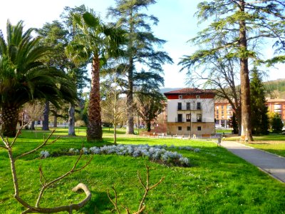 Zalla (Mimetiz) - Parque Murga 03