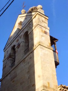 Zamora - Iglesia de San Antolín 1