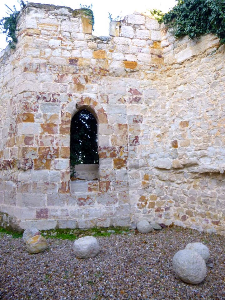 Zamora - Castillo 21