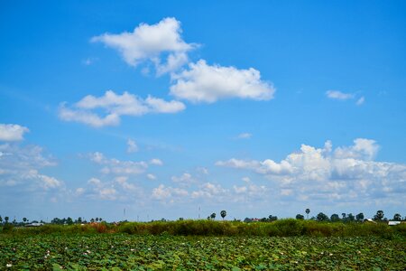 Sunny nature background