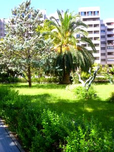 Zaragoza - Avenida de María Zambrano 3