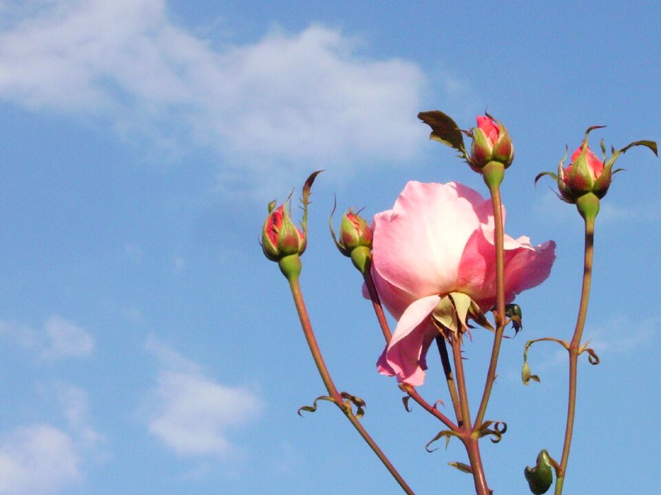 Romantic nature sky