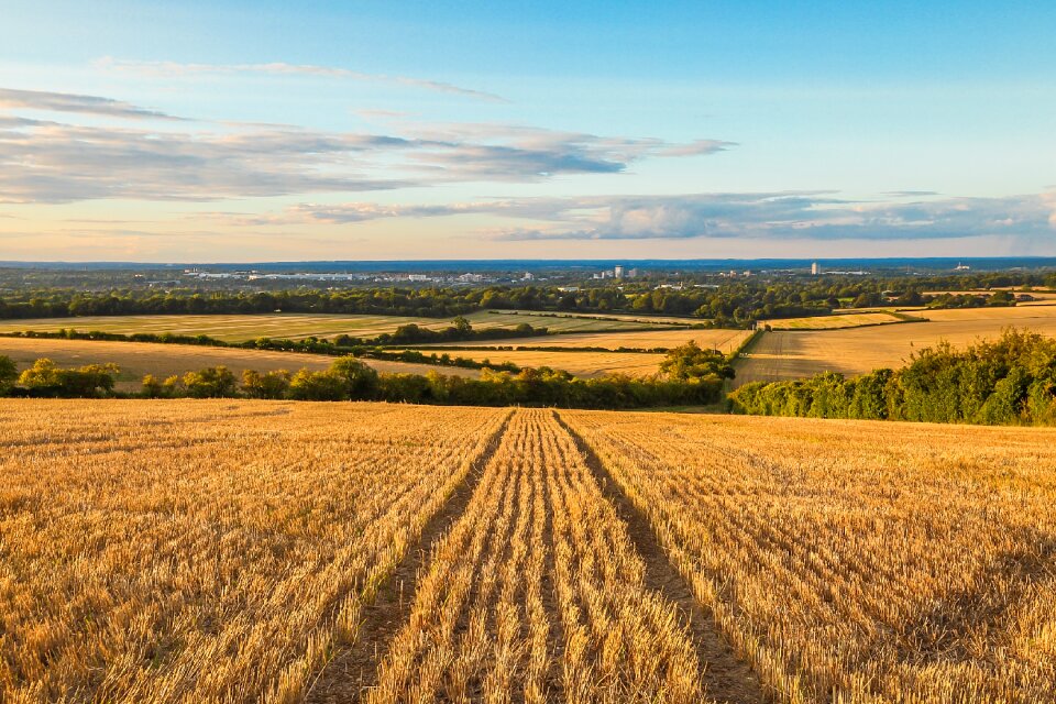 Horizon nature england