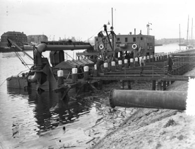 Zandzuiger Bos en Kales te Scheveningen, Bestanddeelnr 905-7348