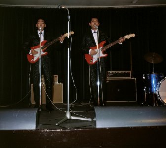 Zangers, De Blue Diamonds, Bestanddeelnr 254-7233