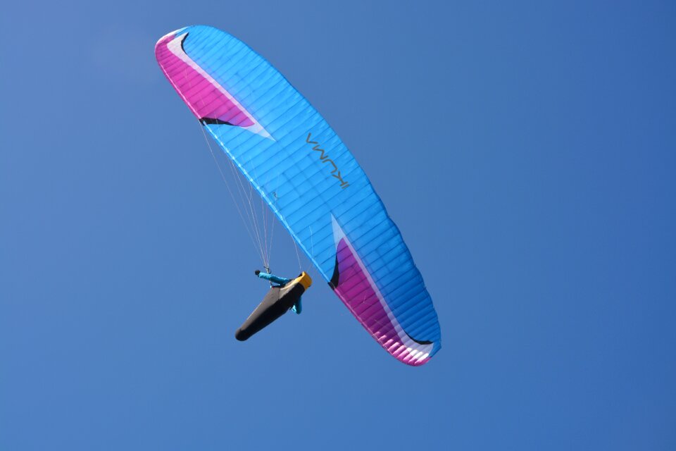 Fly flight blue sky