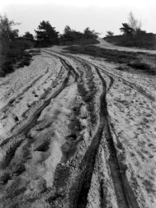 Zandweg met wielsporen in het Gooi, Bestanddeelnr 189-0259