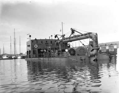 Zandzuiger Bos en Kales te Scheveningen, Bestanddeelnr 905-7347