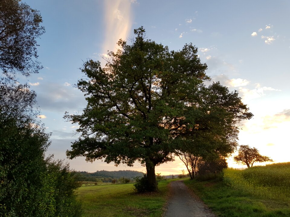 Morgenstimmung autumn weather