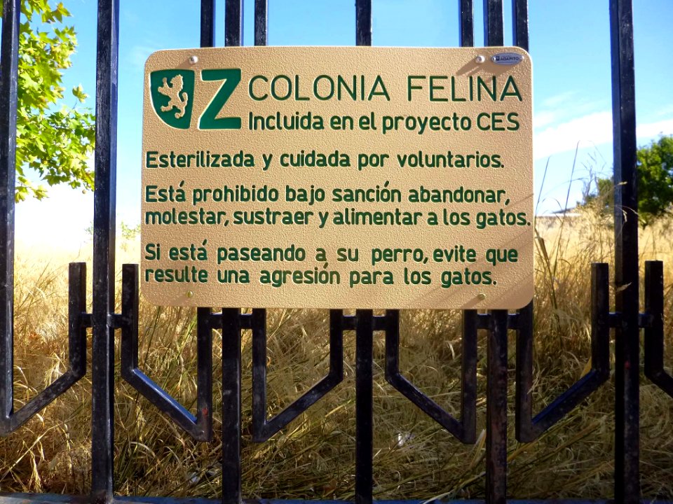 Zaragoza - Colonia felina en el barrio de Delicias 1